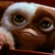gizmo