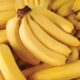 bananapro